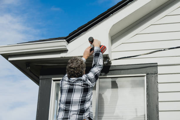 Best Custom Siding Design  in Scandia, MN